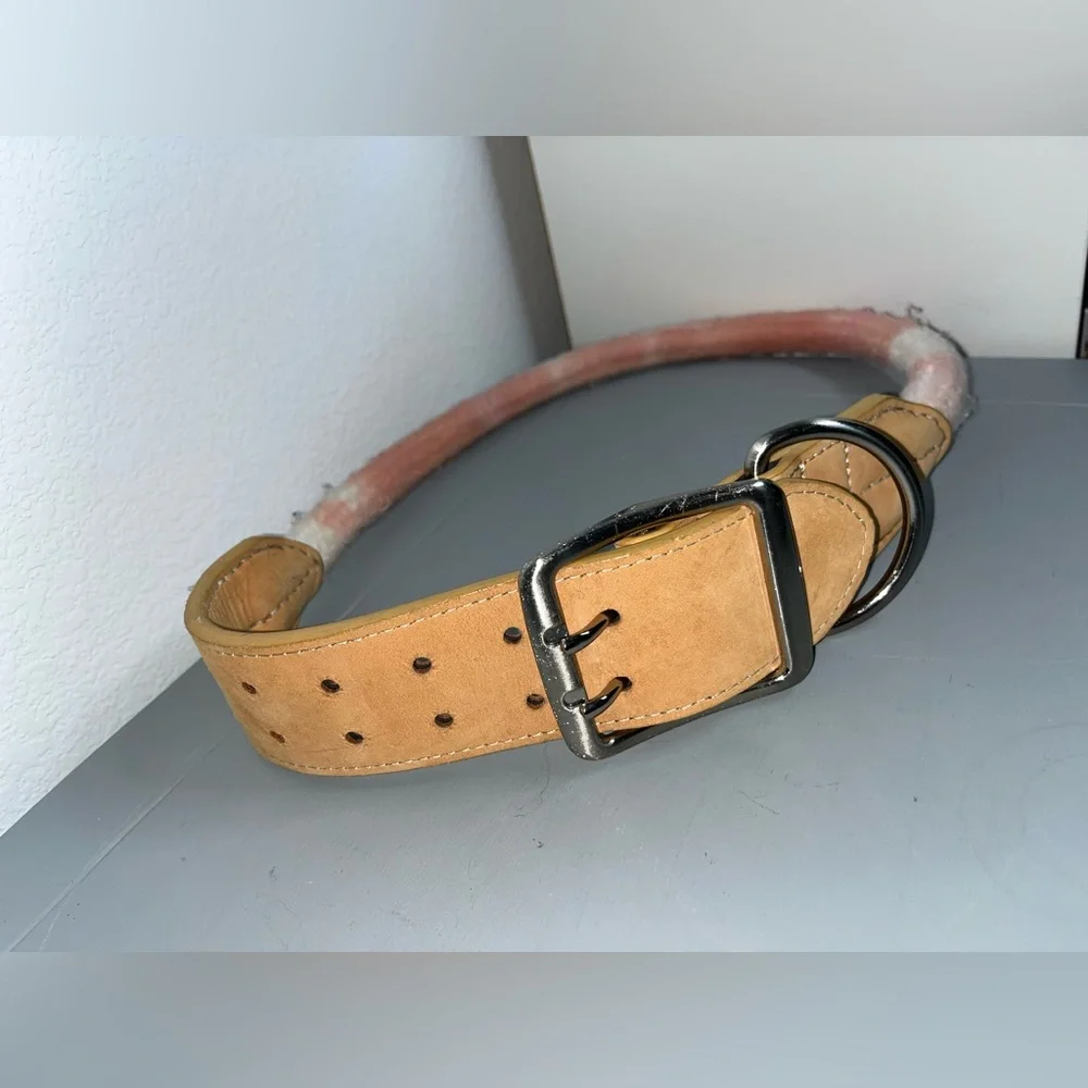 Youly Avant- Garde Braided NWOT Chunky Belted Dog Collar Adjustable Hole 36”